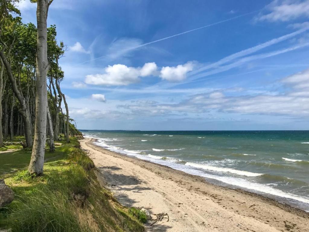 Ostseeferienpark Seepferdchen Direkt An Der Ostsee - Perfekt Fuer Familien Ostseebad Nienhagen Esterno foto